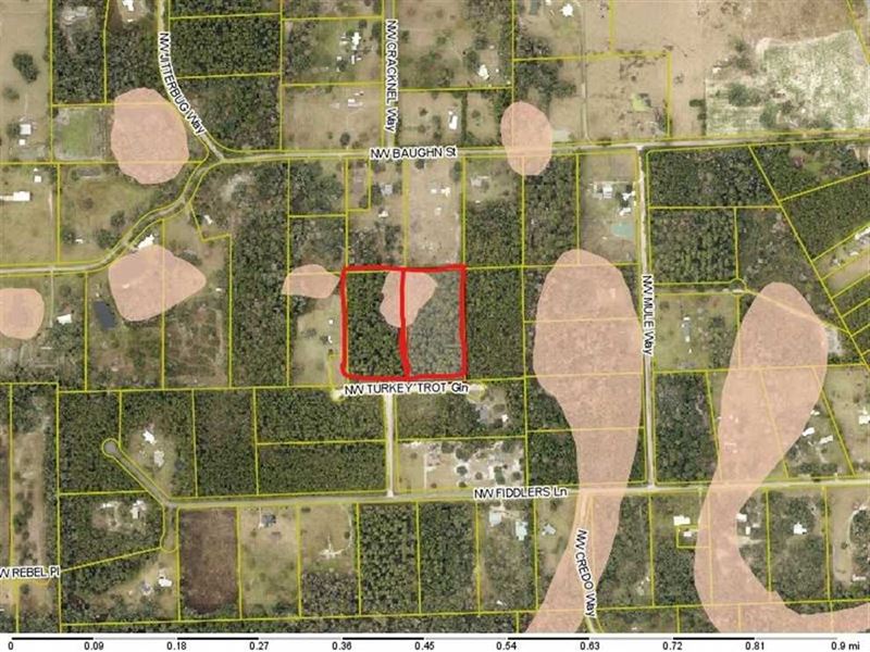 Future Country Homestead : Lake City : Columbia County : Florida