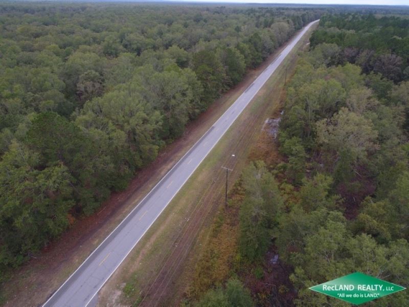 104 Ac, Bottomland Hunting Land NE : West Monroe : Ouachita Parish : Louisiana