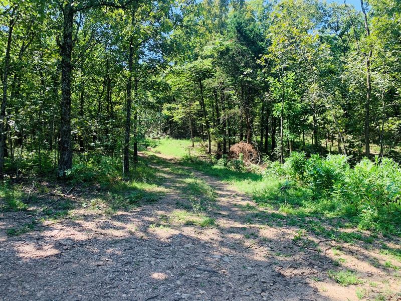 Hunting Land in Cushman, Arkansas : Cushman : Independence County : Arkansas