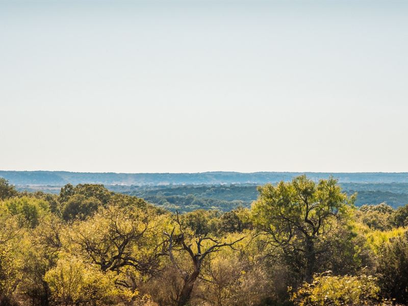 Texas Hill Country Hunting : Loyal Valley : Mason County : Texas