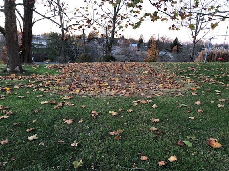 Woodsfield Town Lot for Sale : Woodsfield : Monroe County : Ohio