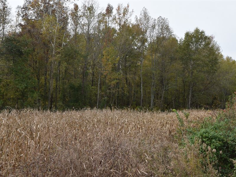 Beautiful Land, Multiple Lots : Morrison : Coffee County : Tennessee