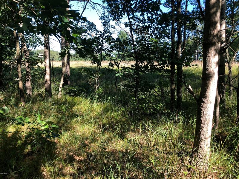 Montcalm Commercial 25 Acres : Howard City : Montcalm County : Michigan