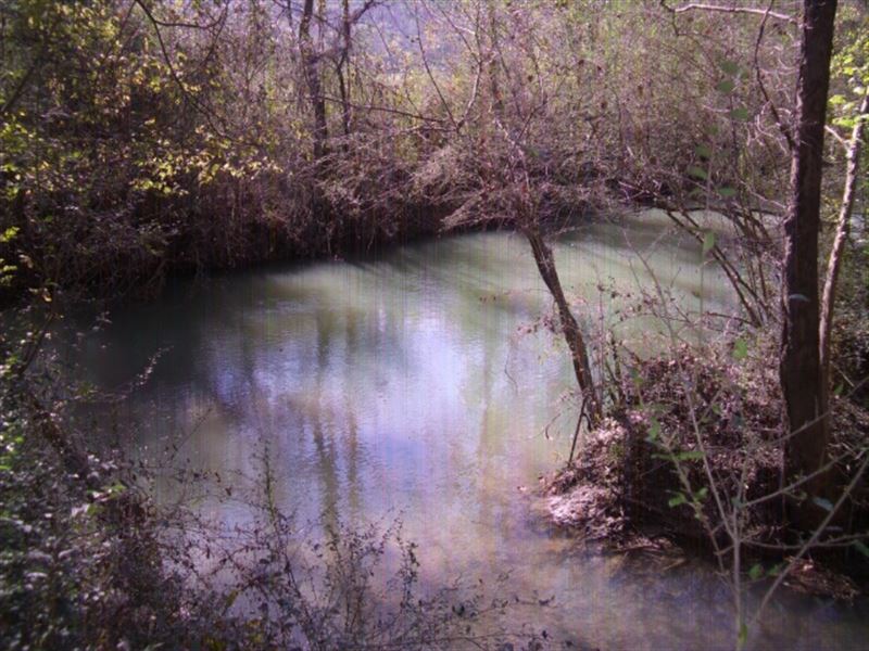 63 Acres Duck Hunting Special : Stevenson : Jackson County : Alabama