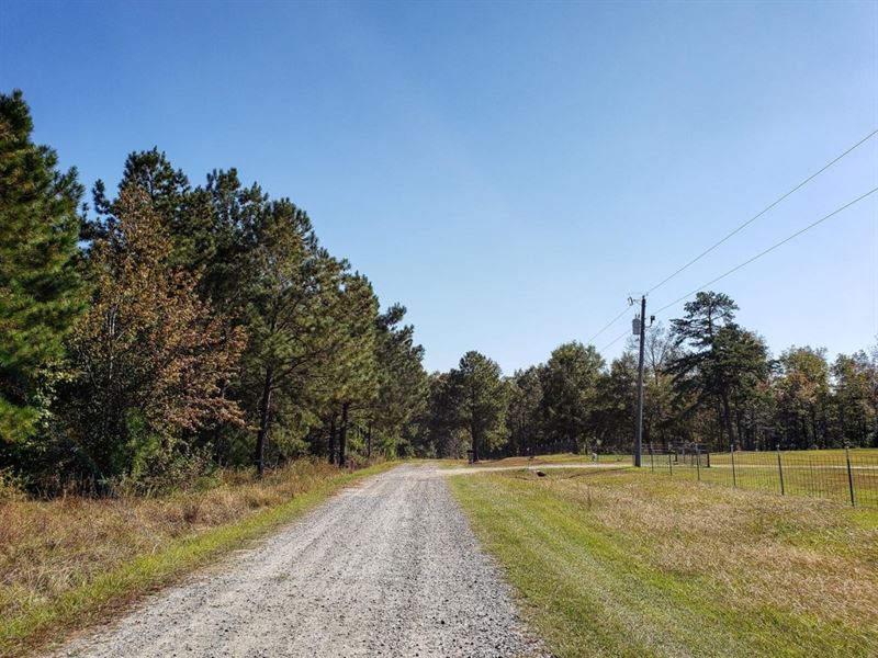 Owner Finance, Ag-Res, 4.99 Acres : Jeffersonville : Twiggs County : Georgia