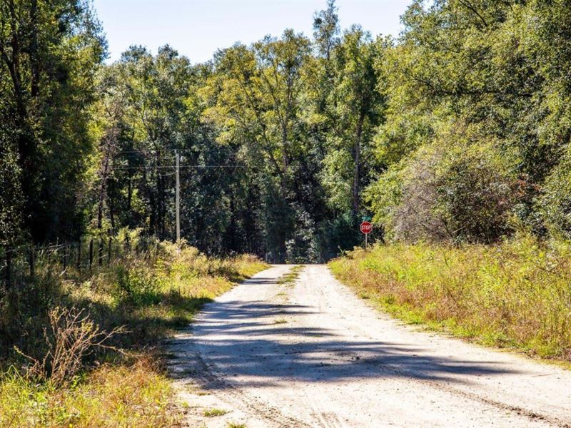 Owner Finance, Ag-Res, 3.6 Acres : O Brien : Suwannee County : Florida