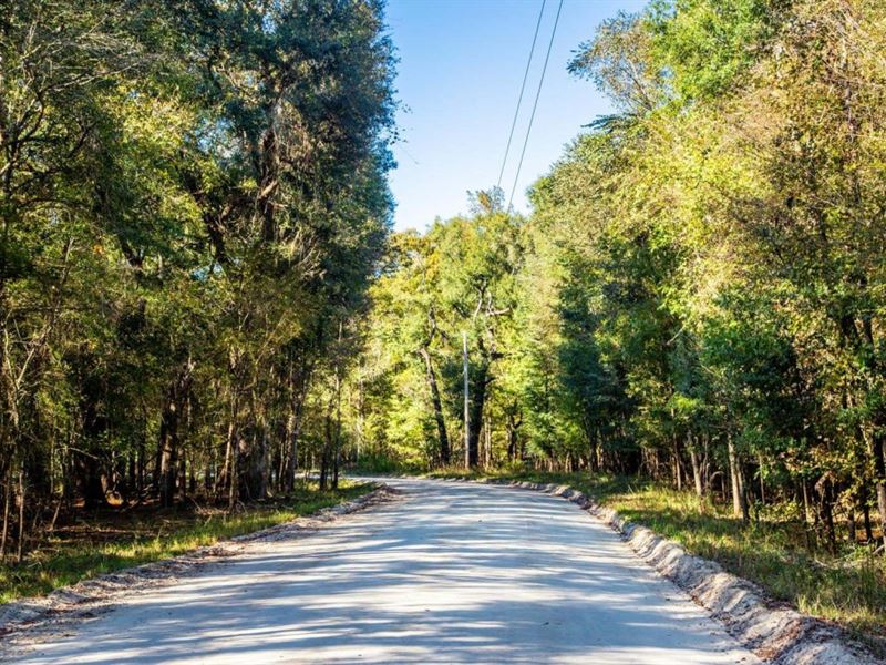 Owner Finance, By River, 10.22 Ac : Bell : Gilchrist County : Florida