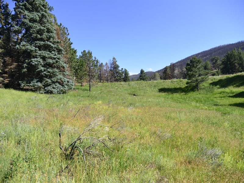 2.7 Acres in Fort Garland, CO : Pueblo : Costilla County : Colorado