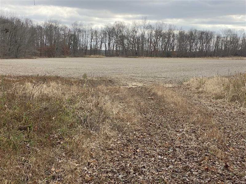 Land for Sale in Clay County, Indi : Center Point : Clay County : Indiana