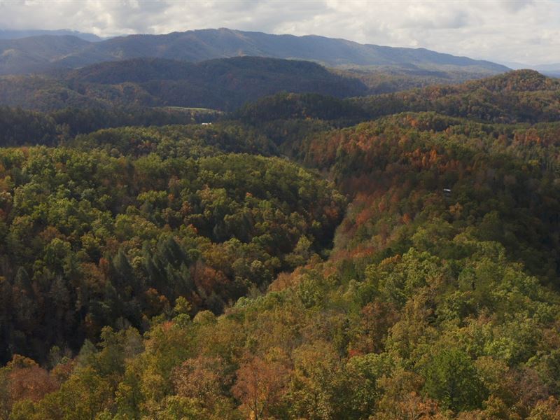 East TN Unrestricted Land Sevier : Sevierville : Sevier County : Tennessee