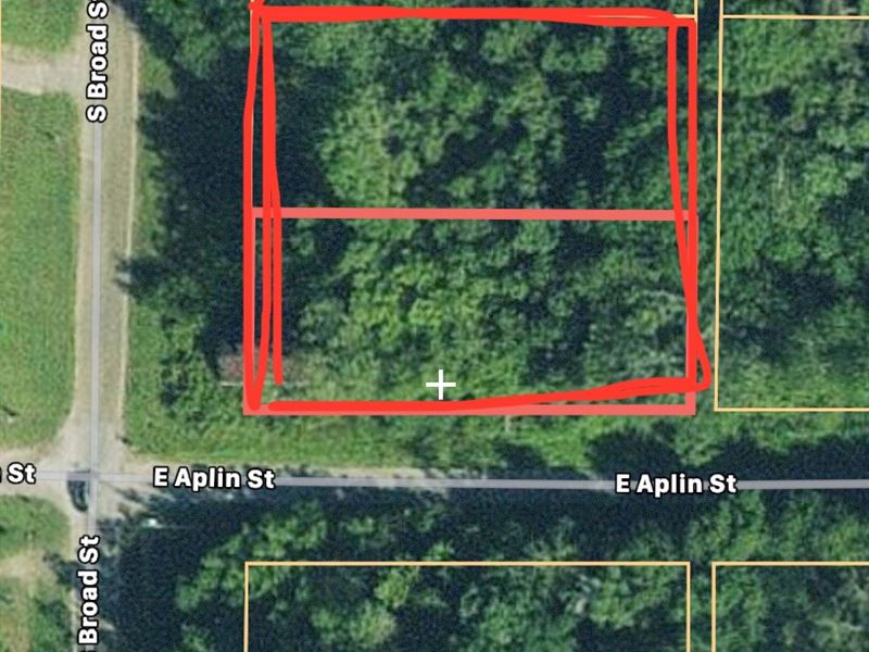 2 Lots Town Samson Al, Homesite : Samson : Geneva County : Alabama