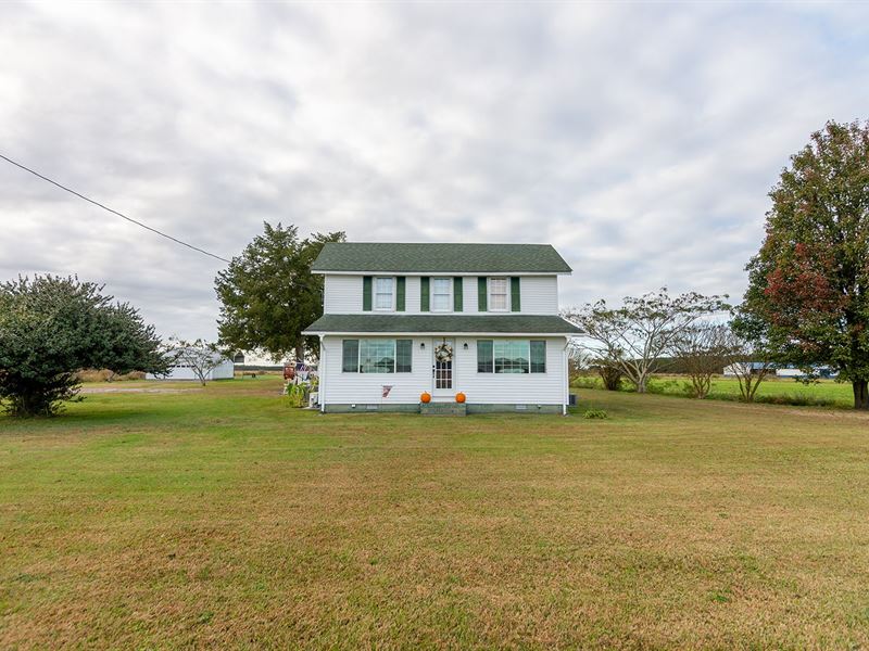Northern Pasquotank County Farm : Elizabeth City : Pasquotank County : North Carolina