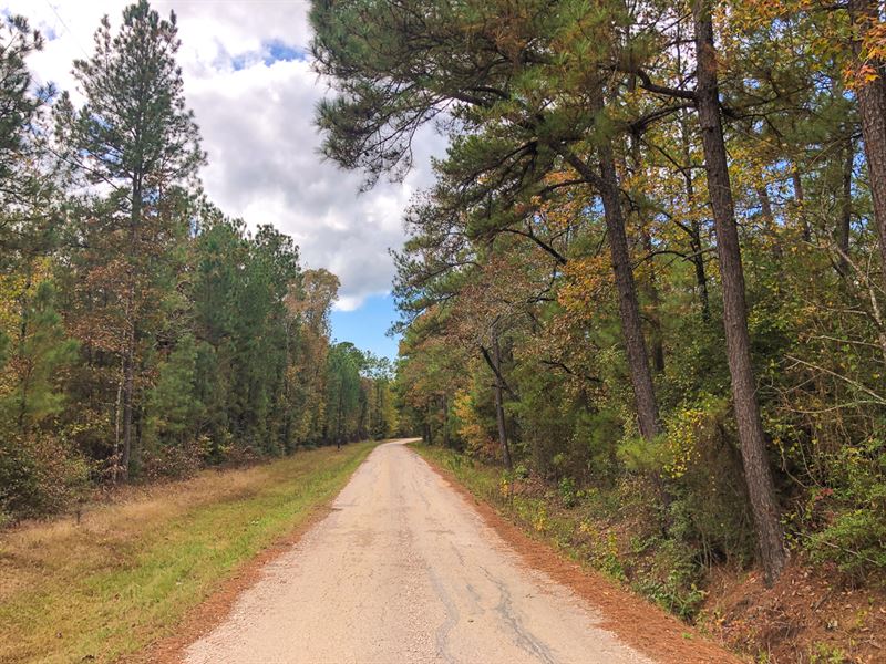 21 Acres Tract 5 Wheatfield Branch : Oakhurst : San Jacinto County : Texas