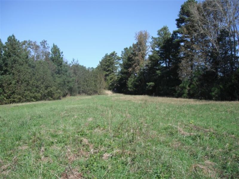 Individual Hunting, Country Getaway : Heath Springs : Lancaster County : South Carolina
