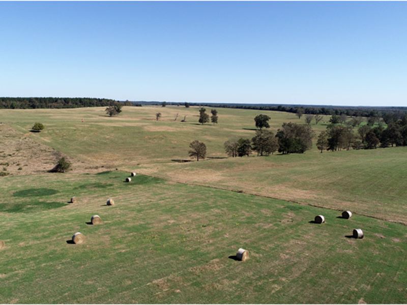 603 Acre Cattle Ranch : Keysville : Burke County : Georgia