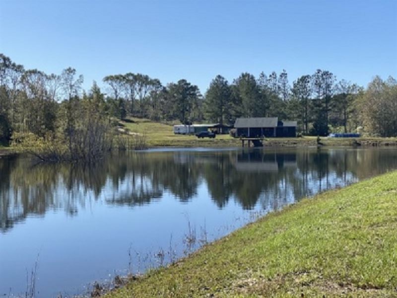 29.45 Acres with A Cabin and Pond : Banks : Pike County : Alabama