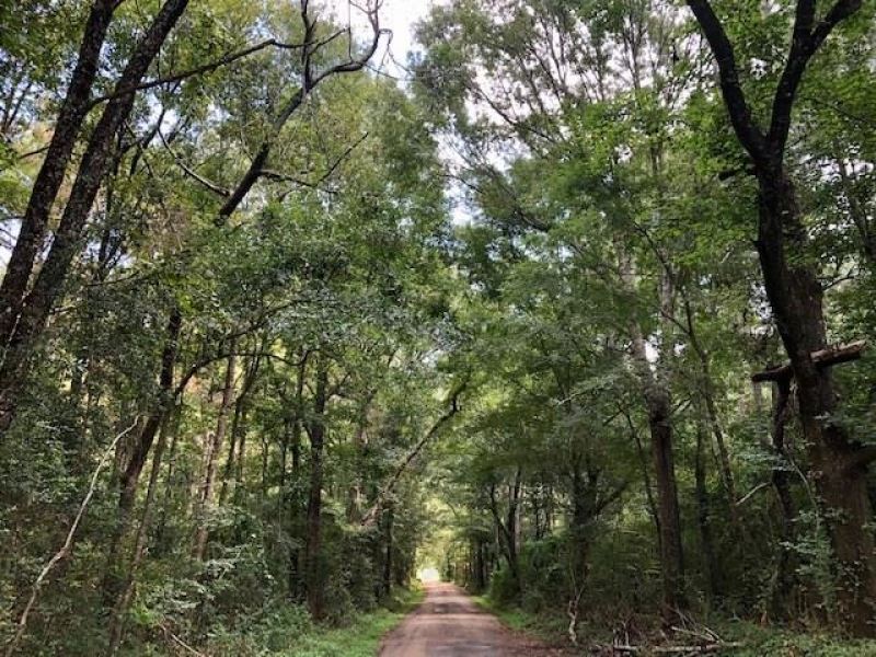 6.5 Acres Tanglewood Road in Pike : Magnolia : Pike County : Mississippi