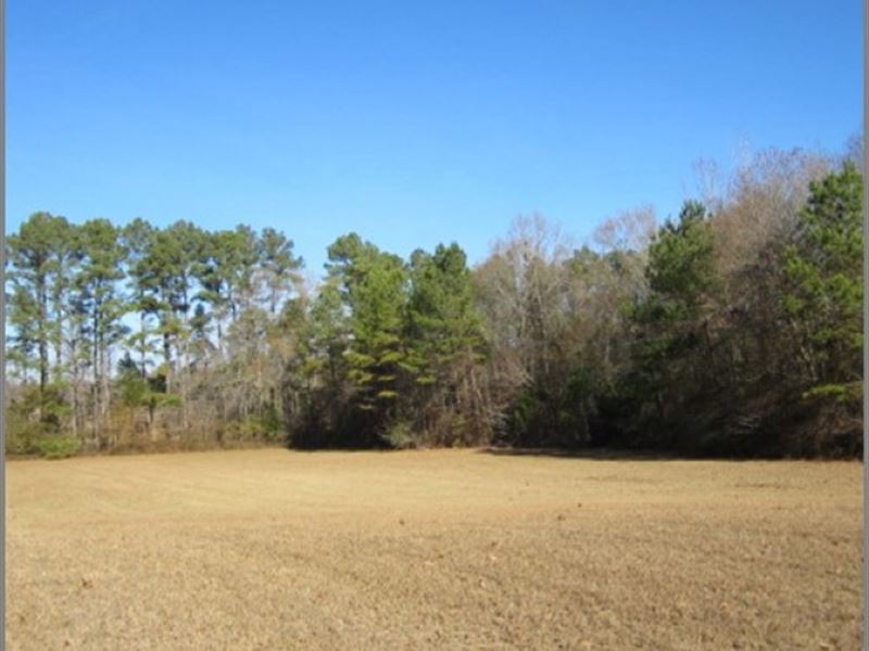 13 Acres in Lafayette County in Par : Paris : Lafayette County : Mississippi