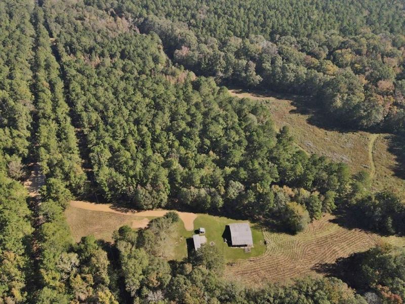 Turnkey 191 Acres and Camp for Sale : Liberty : Amite County : Mississippi