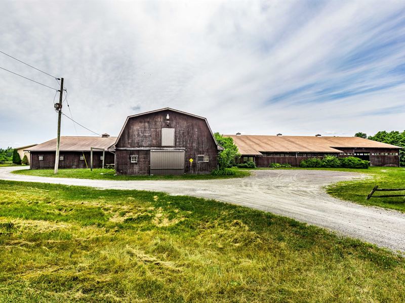 Finger Lakes Equestrian Center : Dryden : Tompkins County : New York