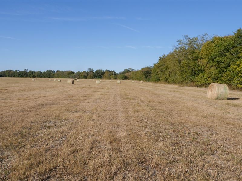 Quiet Place on Brushy Creek : Taylor : Williamson County : Texas
