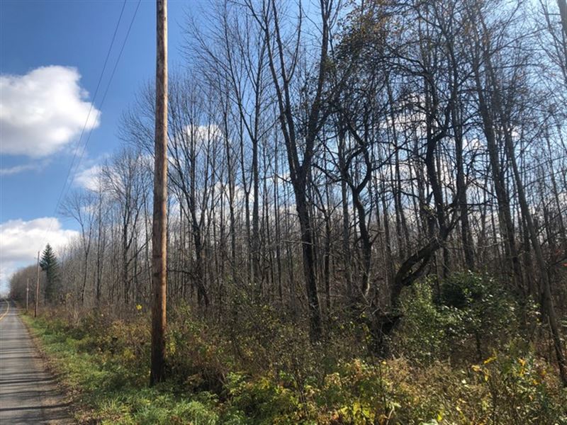 Pharsalia Woods : Norwich : Chenango County : New York