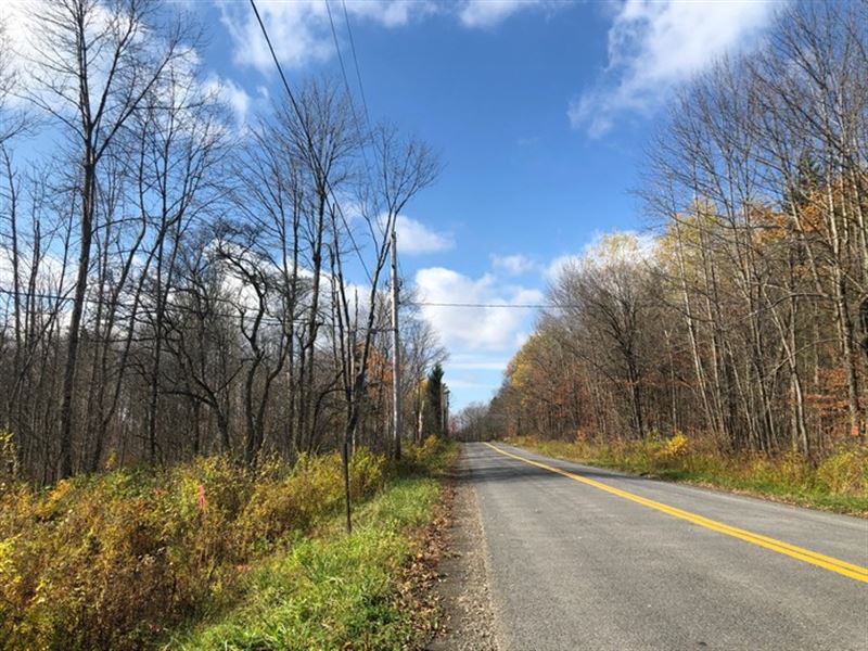 Near Four State Forests : Norwich : Chenango County : New York