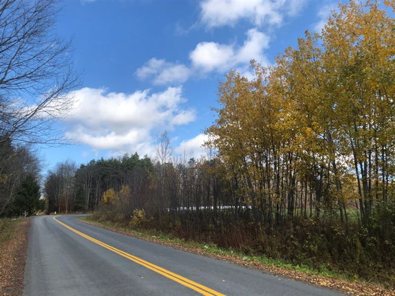 Southern Tier Hunter's Special : Norwich : Chenango County : New York