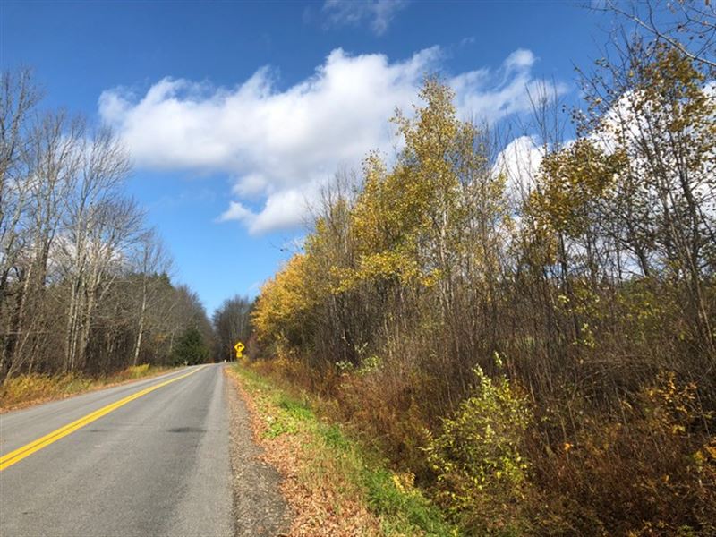 Near Pharsalia Woods State Forest : Norwich : Chenango County : New York