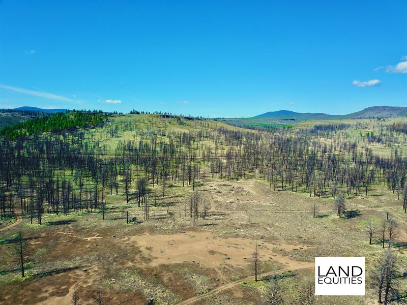 Quiet Location with Seasonal Stream : Sprague River : Klamath County : Oregon