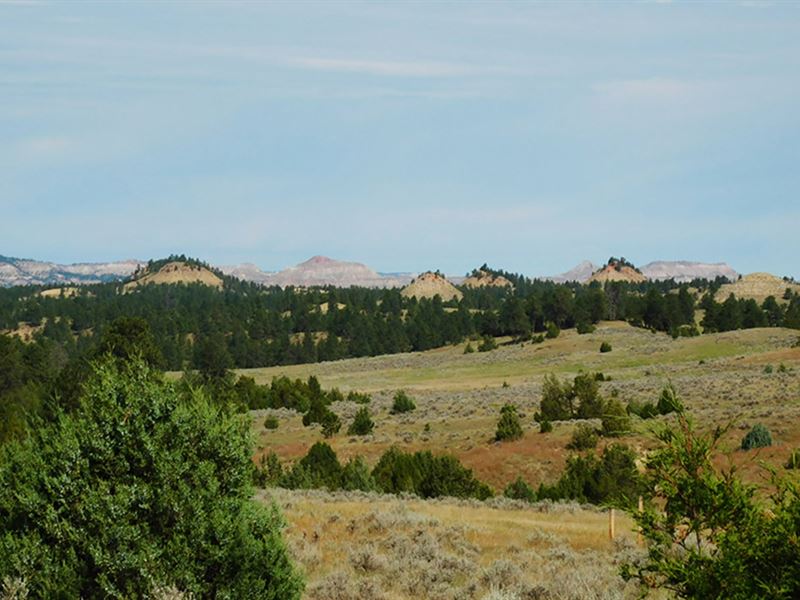 Miller Creek Hunting Tract : Broadus : Powder River County : Montana