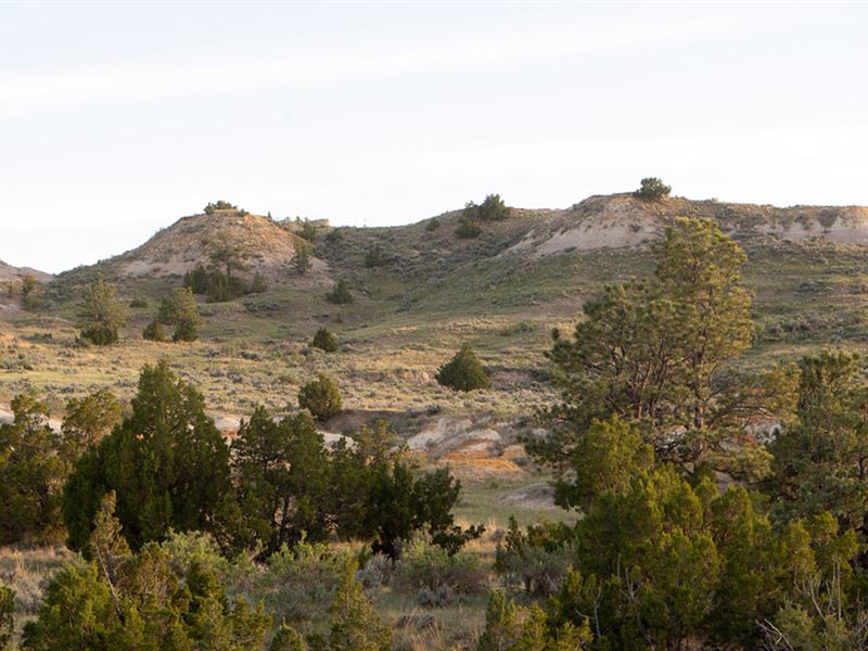 Buttermilk Creek Hunting Property : Broadus : Powder River County : Montana
