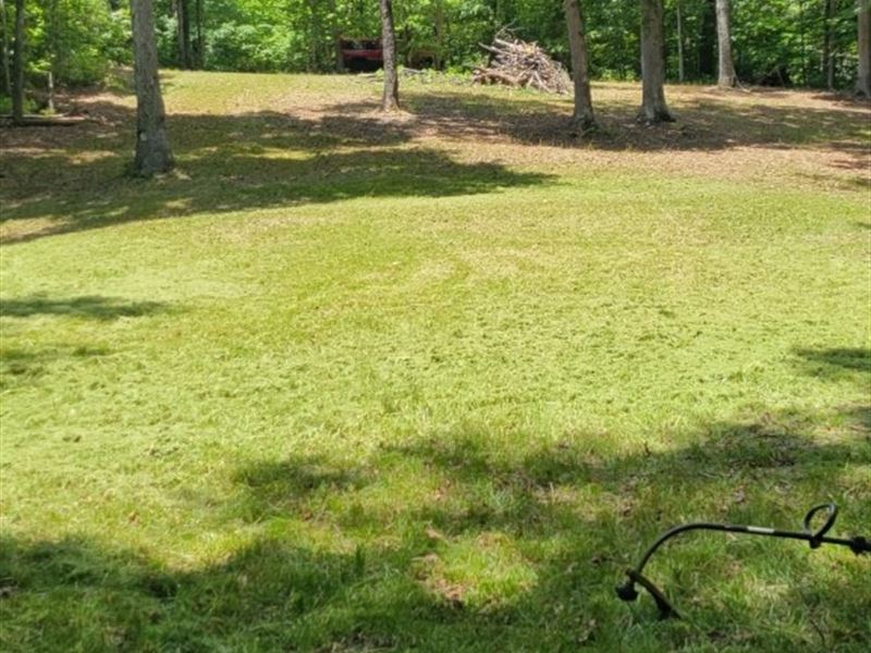 Creek, Cleared Area : Pikeville : Van Buren County : Tennessee