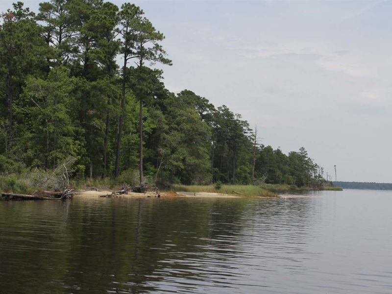 408.60 Acres in New Bern, NC : New Bern : Pamlico County : North Carolina