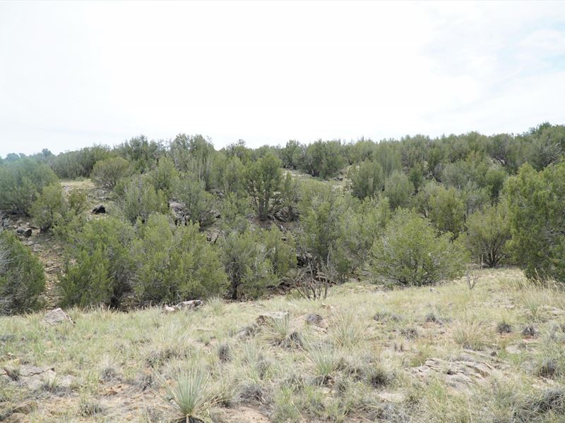 Sheep Canyon 160 : La Junta : Otero County : Colorado
