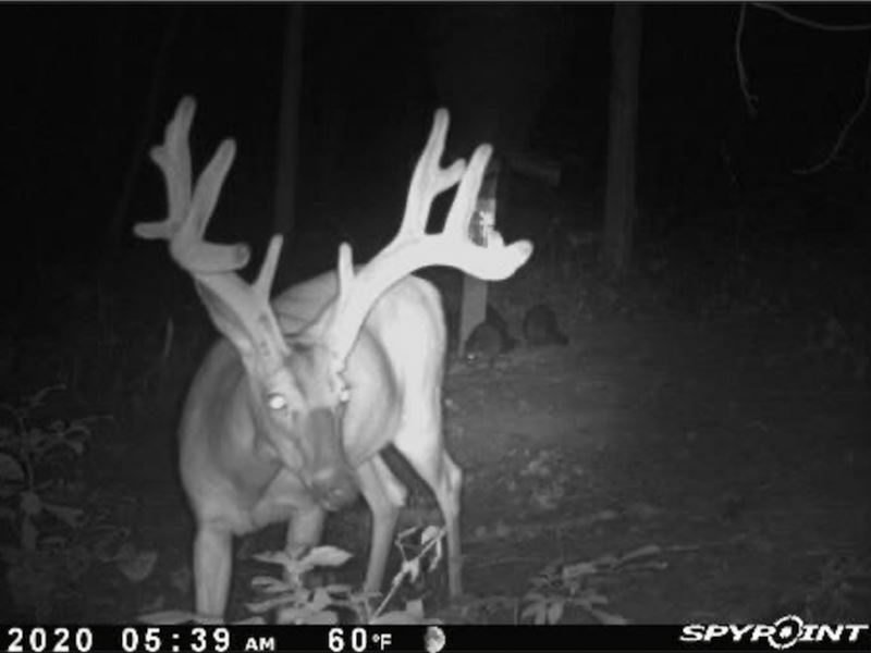 Gravel Lick Rd, Tuscarawas County : Gnadenhutten : Tuscarawas County : Ohio