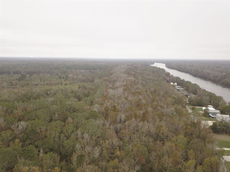 38 Acres Upper Bryants Landing : Stockton : Baldwin County : Alabama