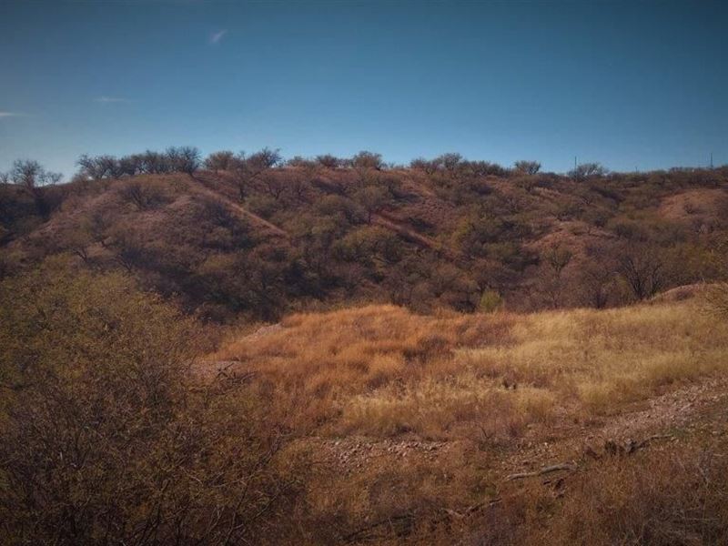 1.26 Acres in Rio Rico for 169/Mo : Rio Rico : Santa Cruz County : Arizona