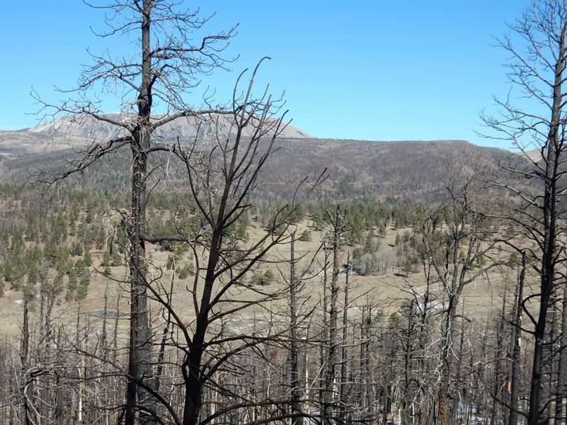 3.8 Acres in Forbes Park Community : Fort Garland : Costilla County : Colorado