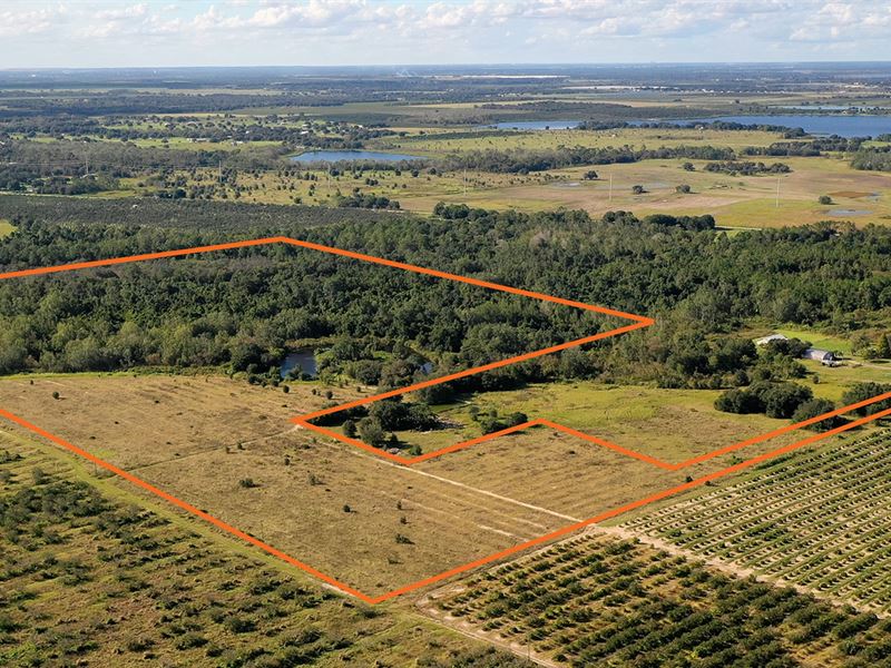 North Lake Buffum Acreage : Fort Meade : Polk County : Florida
