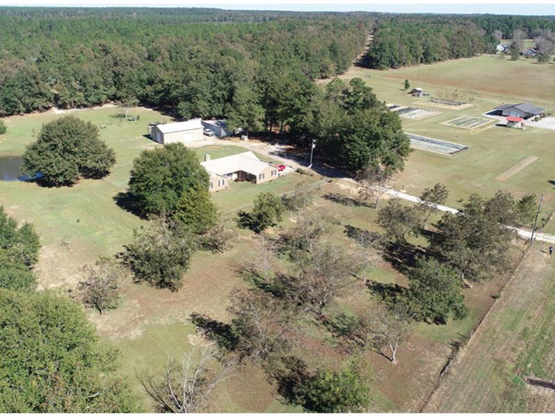 Home and Farm Store on 19 Acres : Blythe : Richmond County : Georgia