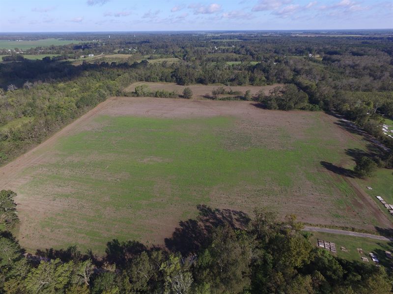 55.1 Acres Evergreen : Evergreen : Avoyelles Parish : Louisiana