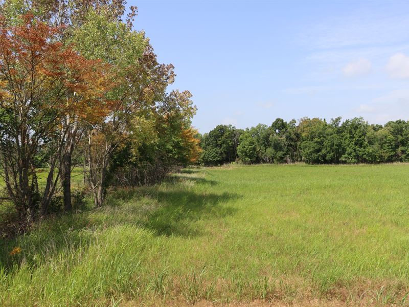 80 on Furguson : Kaw City : Kay County : Oklahoma