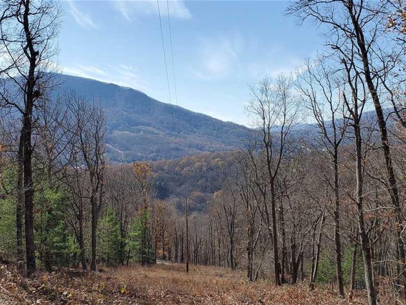 39.8 Acres in Jefferson, Ashe Co : Jefferson : Ashe County : North Carolina