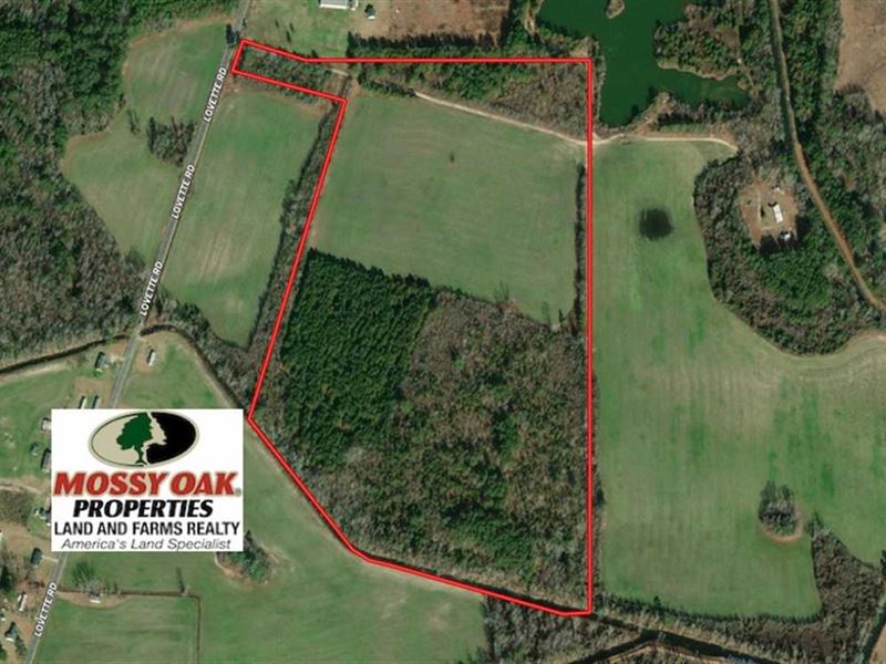 55 Acres of Farm : Lumberton : Robeson County : North Carolina