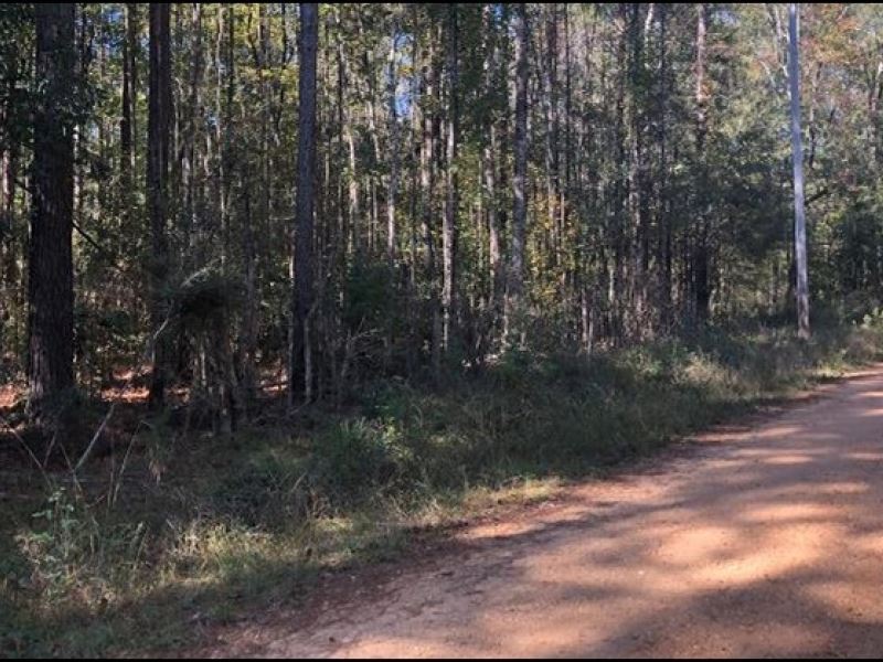 5 Acres in Pike County in Summit : Summit : Pike County : Mississippi