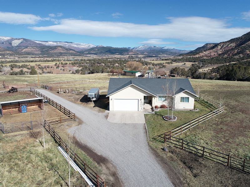 Colorado Horse Property, Acreage : Collbran : Mesa County : Colorado