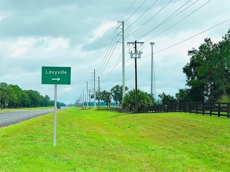 Beautiful Levy County Land : Chiefland : Levy County : Florida