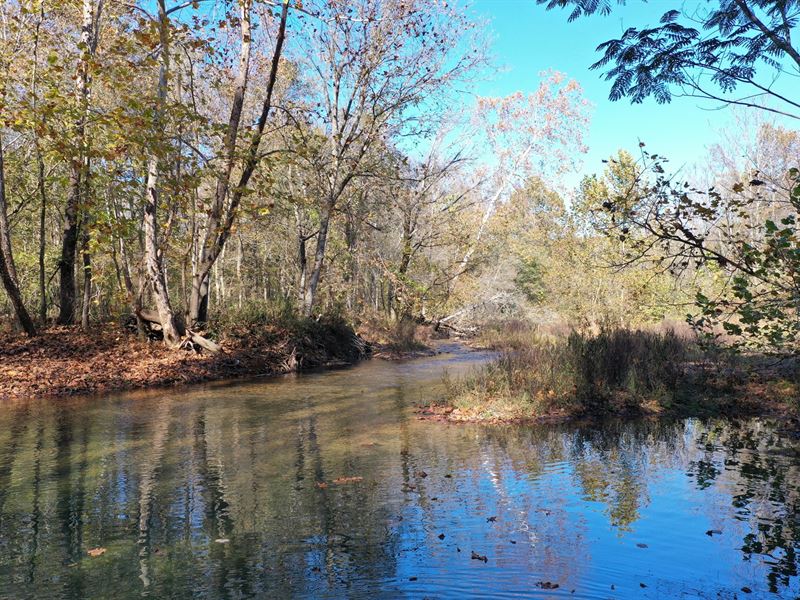 TN Farm & Hunting Land Creek, Owner : Linden : Perry County : Tennessee