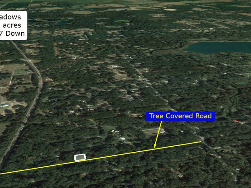 .21 Acre Mobile Friendly in Citra : Citra : Marion County : Florida